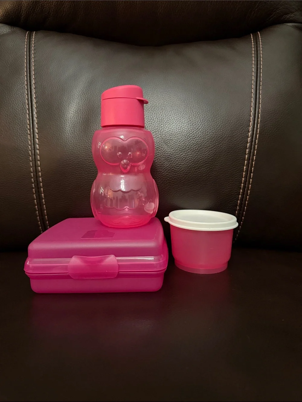 Tupperware Pink Kids Snack Box and Owl Bottle Set